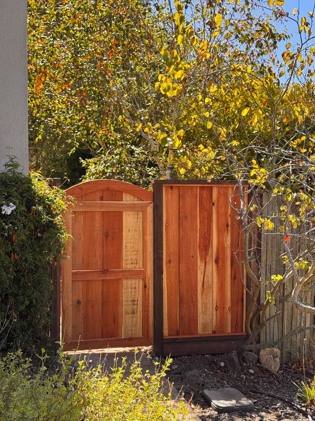 New double wood gate under the trees in Half Moon Bay