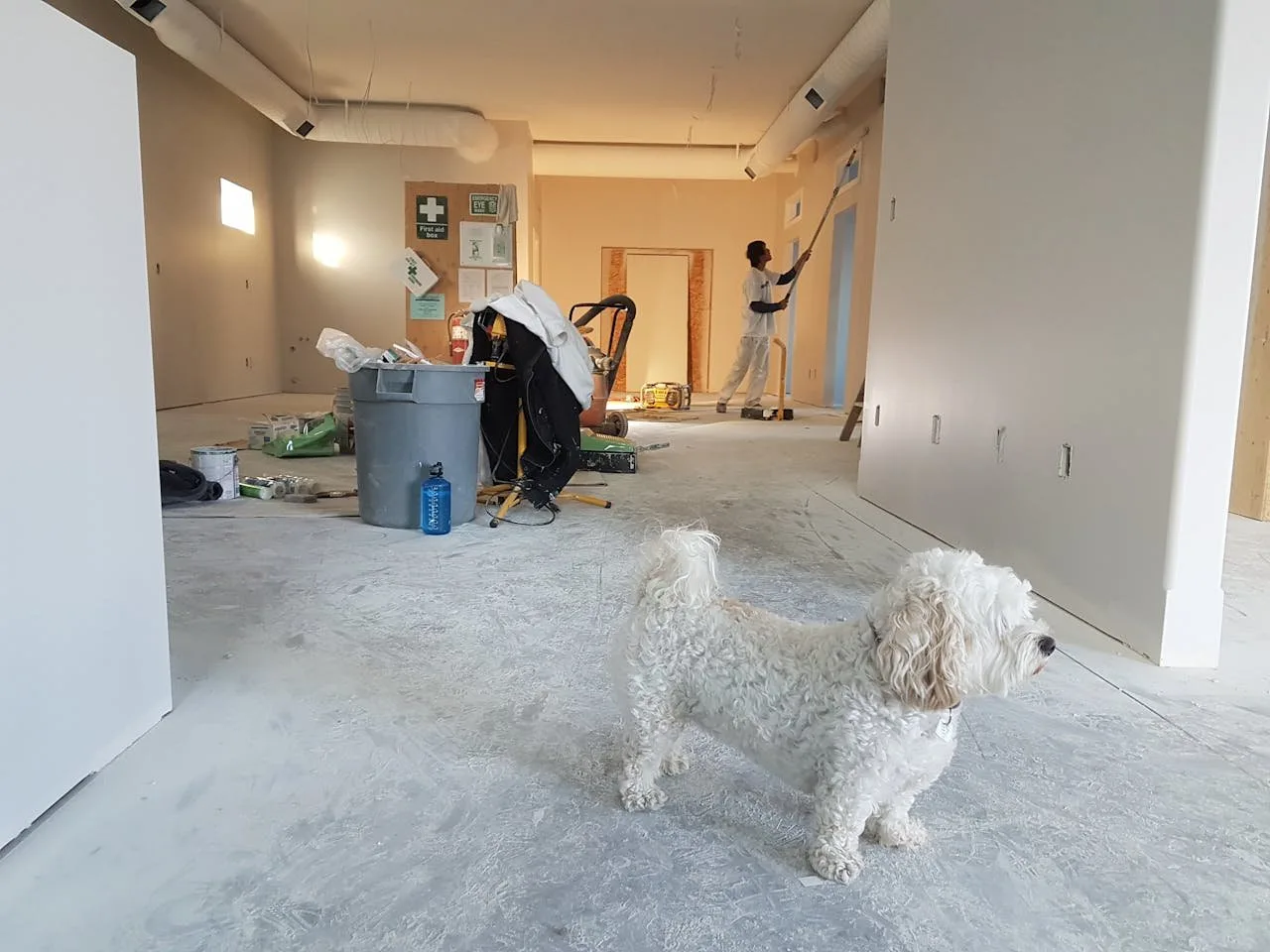 Interior of a home mid-renovation with bare drywall, a covered floor and a step ladder